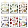 Magnificent 101 Long Lasting Manifestation Steps Set of 6 Smudge Candles 3.5 Oz Each - 84 Hour Burn | All Natural & Organic Soy Wax Candles with Cedar