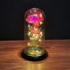 2023 LED Enchanted Galaxy Rose Eternal Rose Forever Rose In Glass Valentines Day Gift for Girlfriend Christmas Wedding Birthday