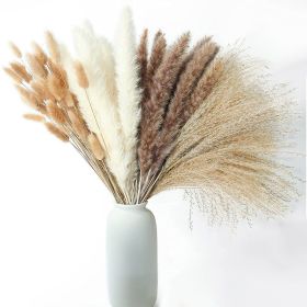 Phragmites Dried Flowers Bouquet Long Bouquet Reed Dried Natural Dried Pampa Grass Bouquet Home Wedding Living Room Decoration (Color: 100pcs  No vase, Ships From: China)