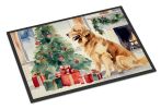 Golden Retriever Cozy Christmas Doormat Front Door Mat Indoor Outdoor Rugs for Entryway, Non Slip Washable Low Pile, 24H X 36W