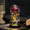 2023 LED Enchanted Galaxy Rose Eternal Rose Forever Rose In Glass Valentines Day Gift for Girlfriend Christmas Wedding Birthday